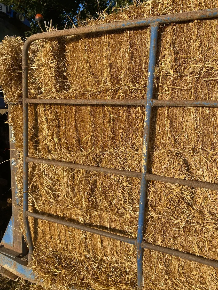 Small Squares barley straw - Image 2