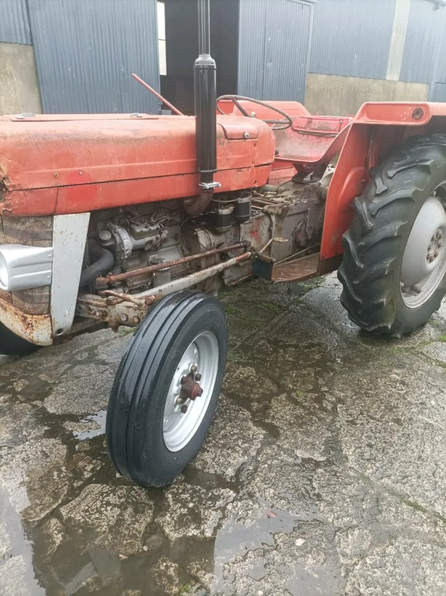 Massey Ferguson 135 - Image 2