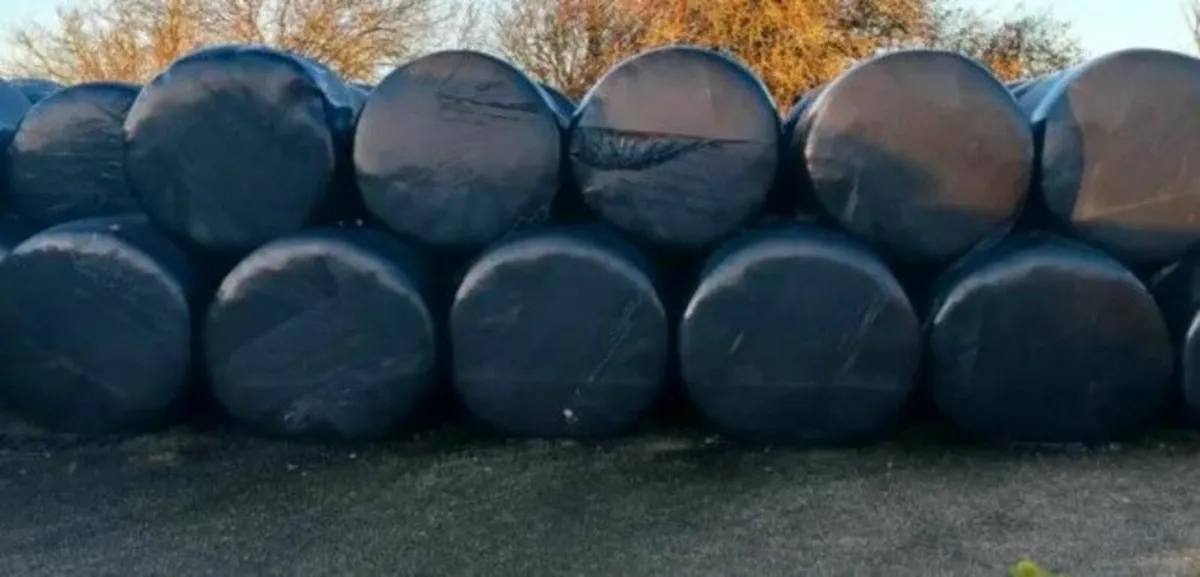 Silage Bales - Image 1