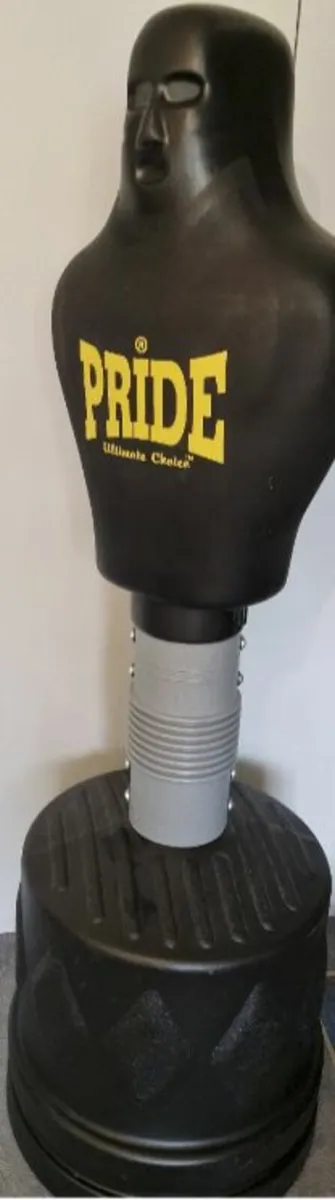 Free Standing Punching Bag - BOB - Image 2