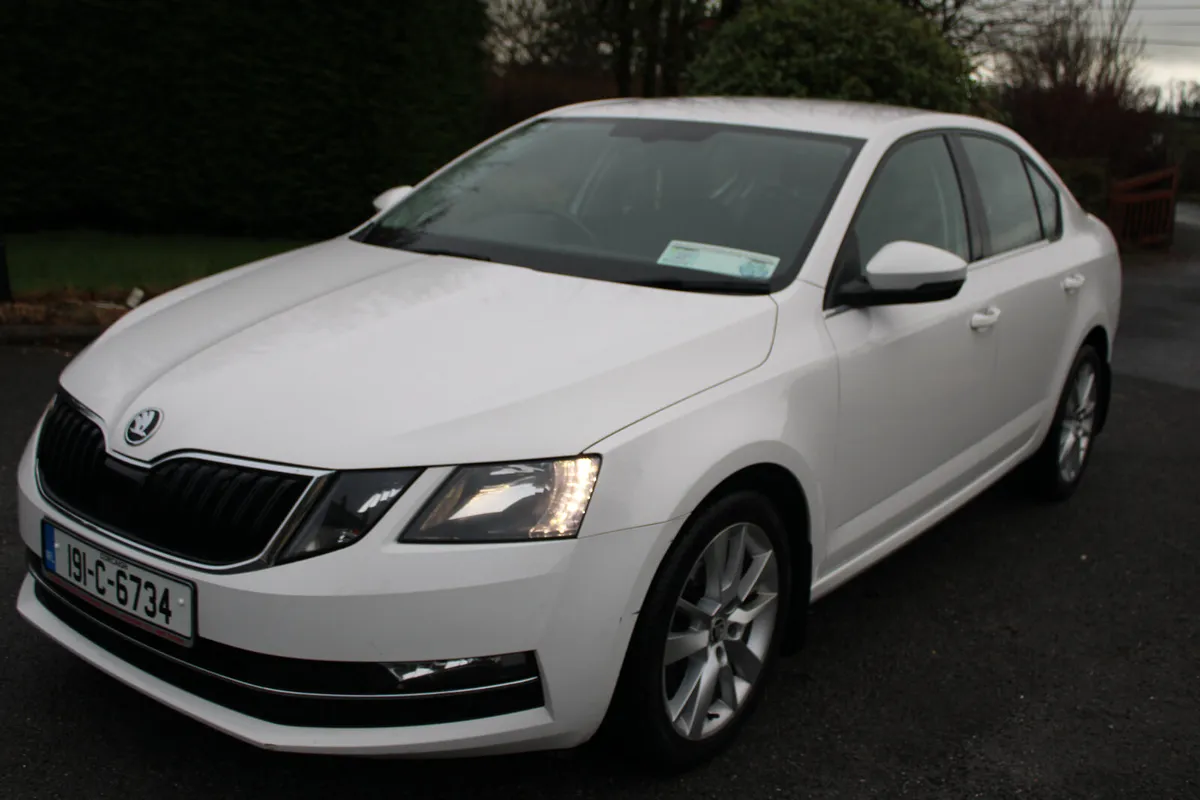 2019 SKODA OCTAVIA  STYLE 1.6 TDI 115 bhp. - Image 3