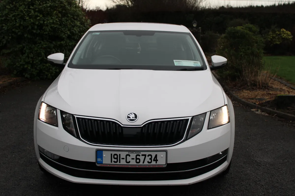 2019 SKODA OCTAVIA  STYLE 1.6 TDI 115 bhp. - Image 2