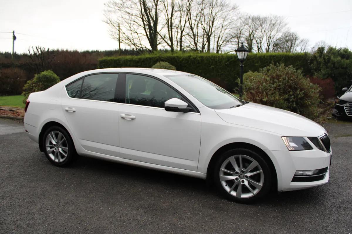 2019 SKODA OCTAVIA  STYLE 1.6 TDI 115 bhp. - Image 4