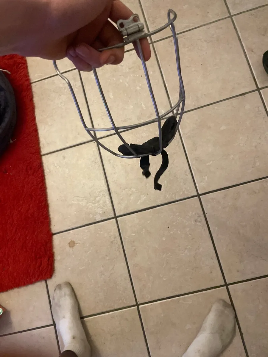 Old style gaurd - Image 2