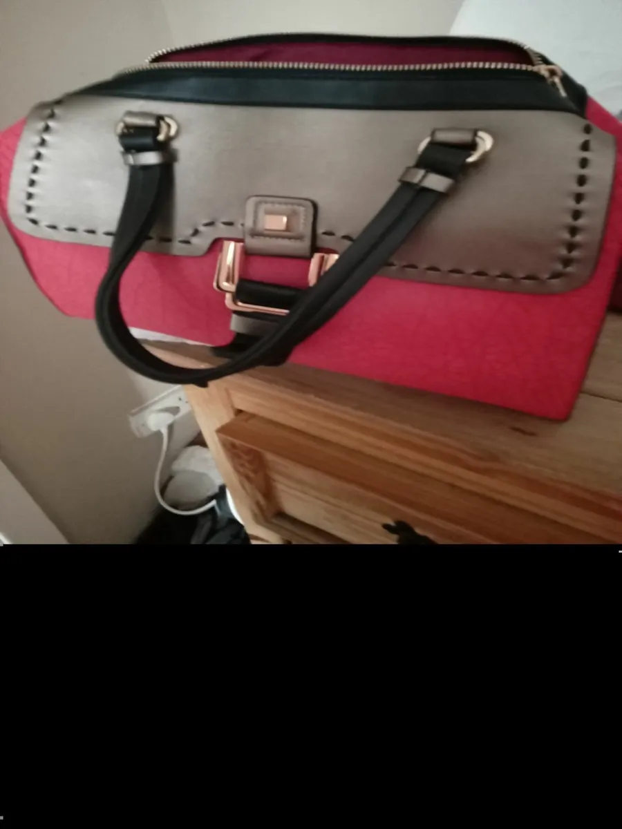 Ladies handbag