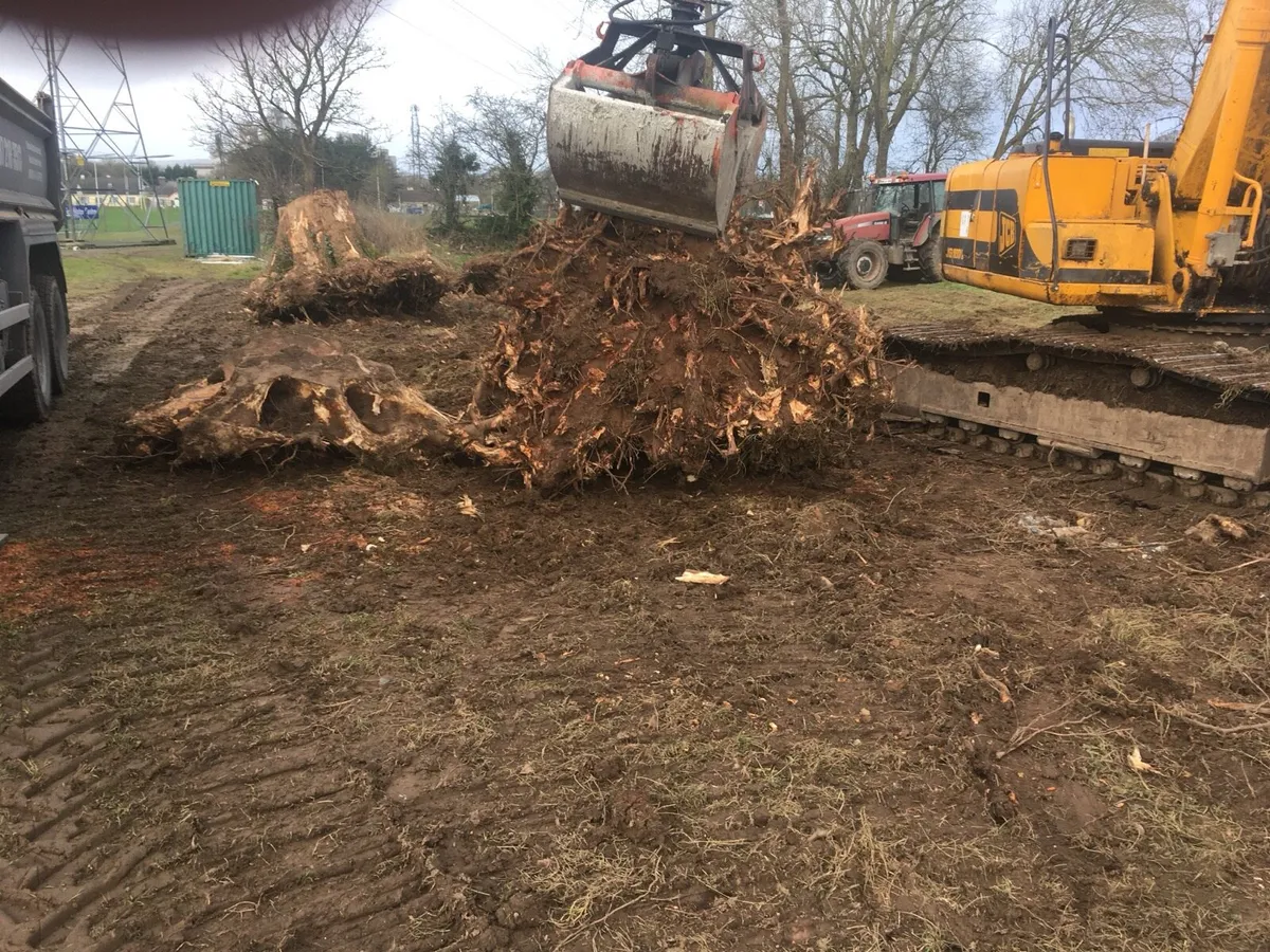Tree surgery site clearance - Image 4