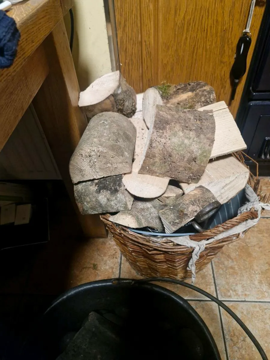 Hardwood ash - Image 1