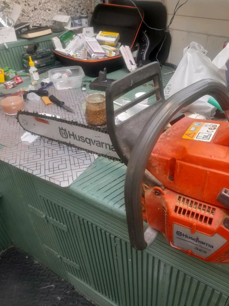 Husq 365 - Image 3