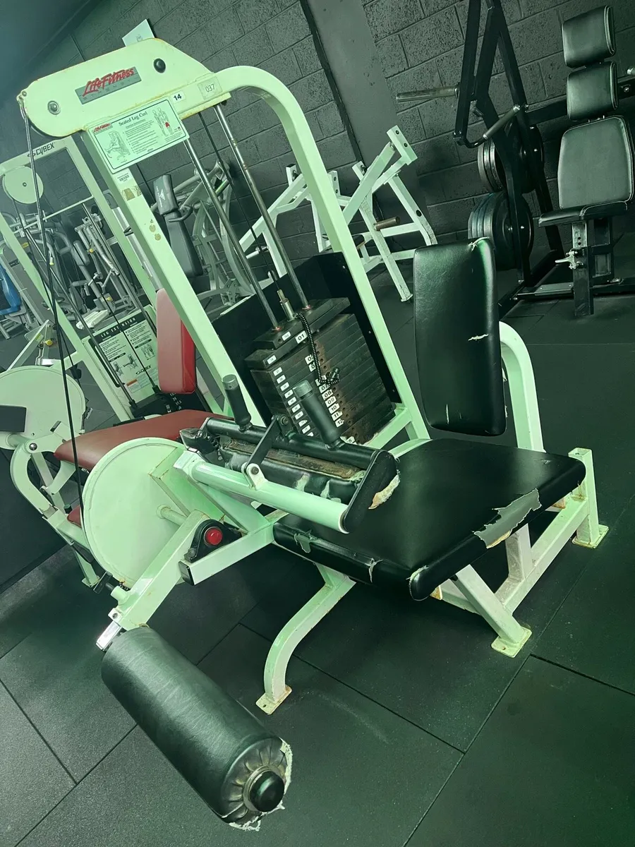 Pro 1 seated leg curl