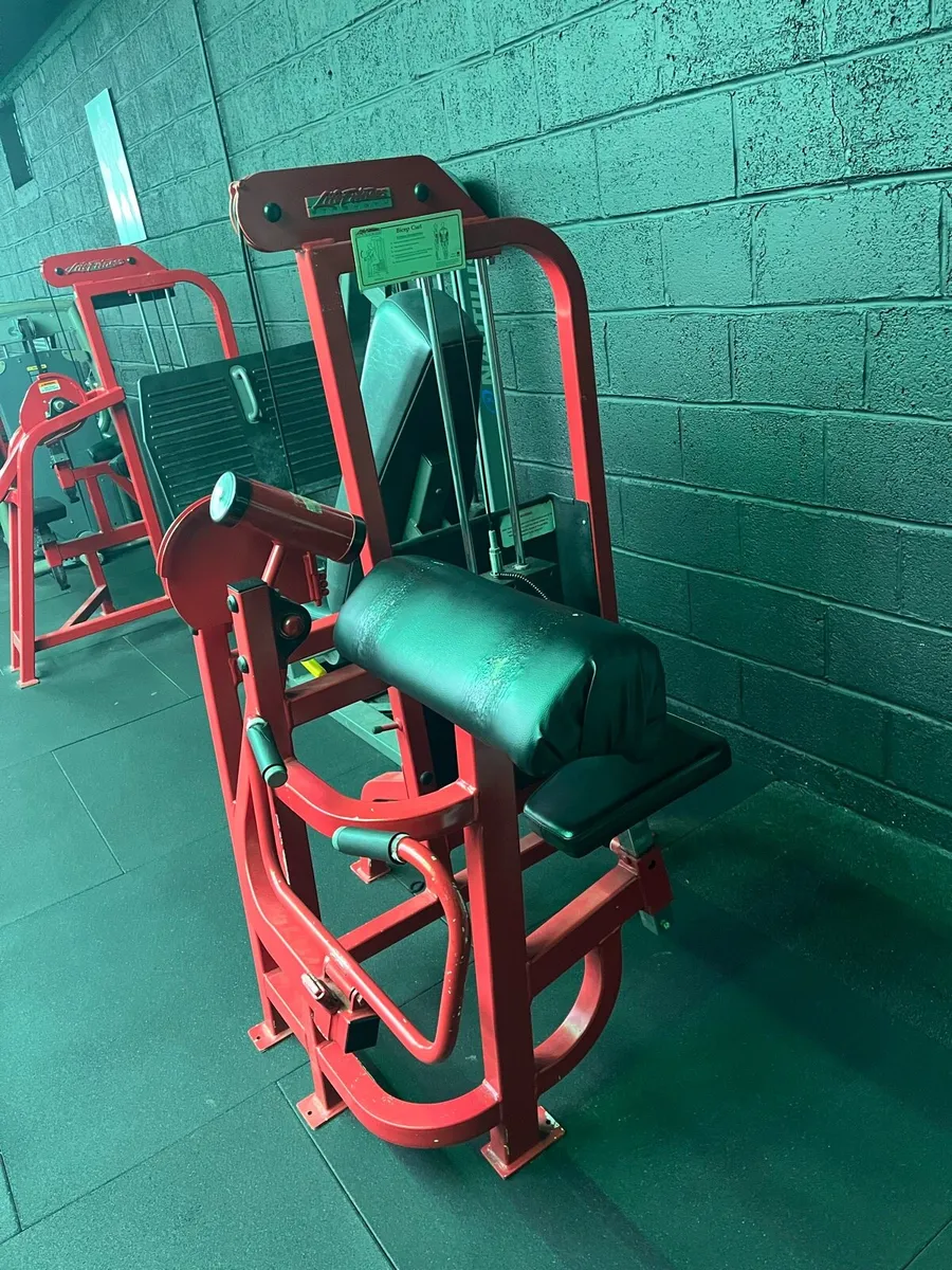 Pro 1 bicep curl - Image 1