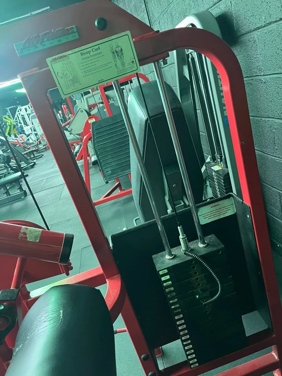 Pro 1 bicep curl - Image 2