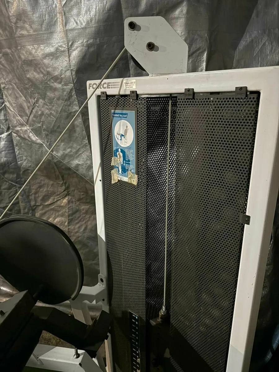 FORCE Leg Curl Machine - Commercial Grade - Image 3