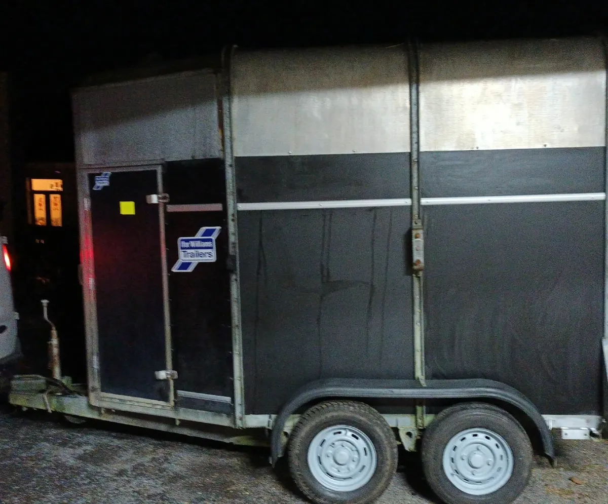 Day of the day - Image 4