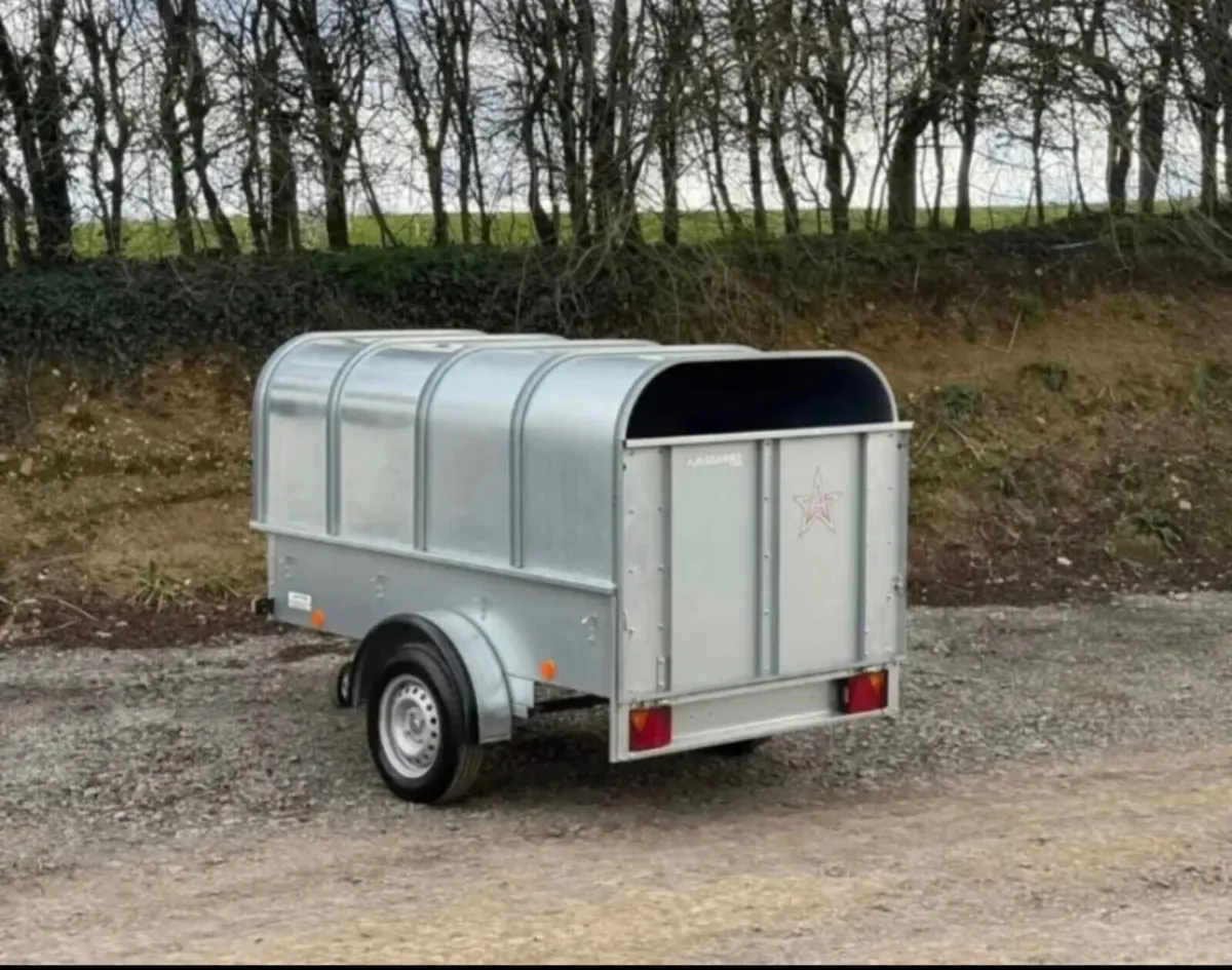 YOUNGSTOCK TRAILER 7x4 NEW A STAR - Image 4