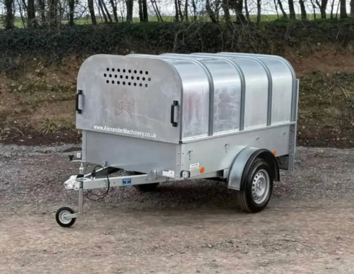 YOUNGSTOCK TRAILER 7x4 NEW A STAR - Image 3