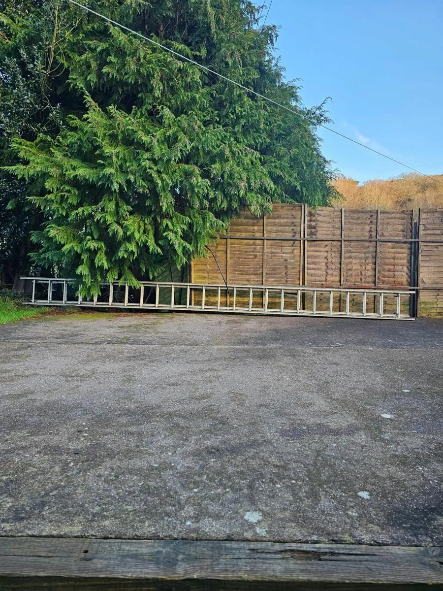 LADDER. 40FT  HEAVY DUTY