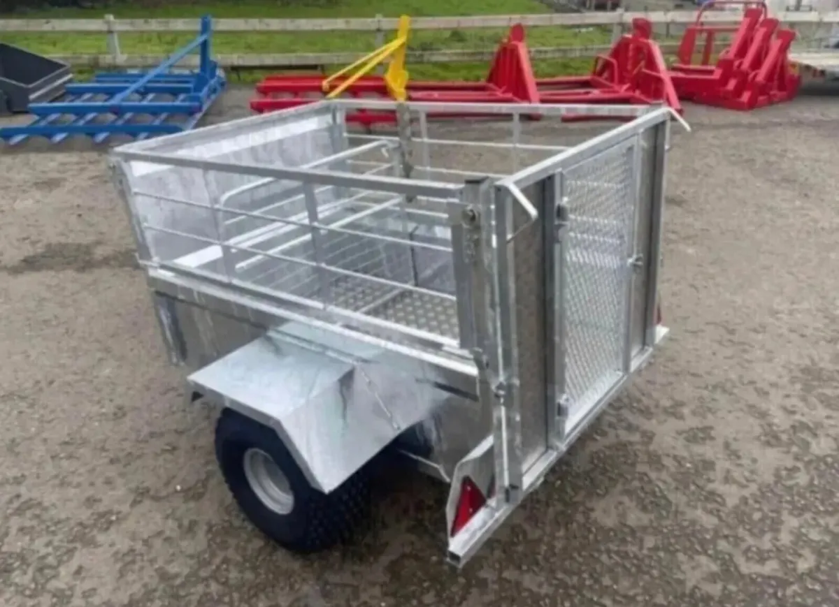 TRAILER 5x3 QUAD SHEEP WITH DIVISION GATE - Image 4