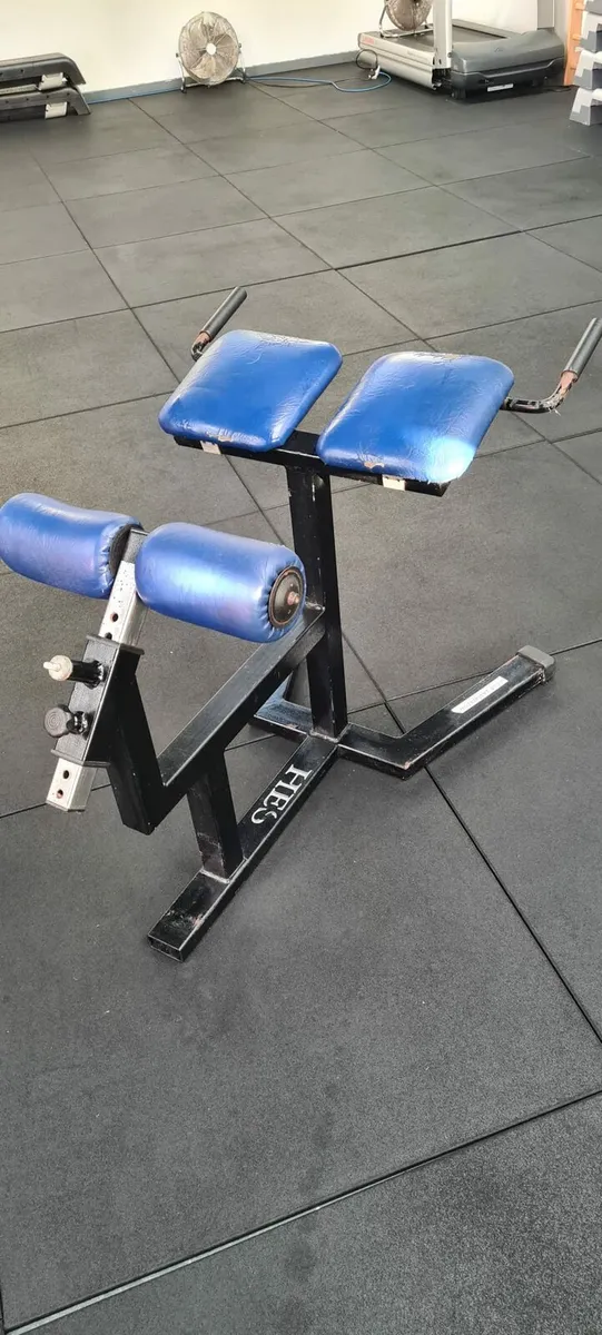 Roman Chair - Image 3