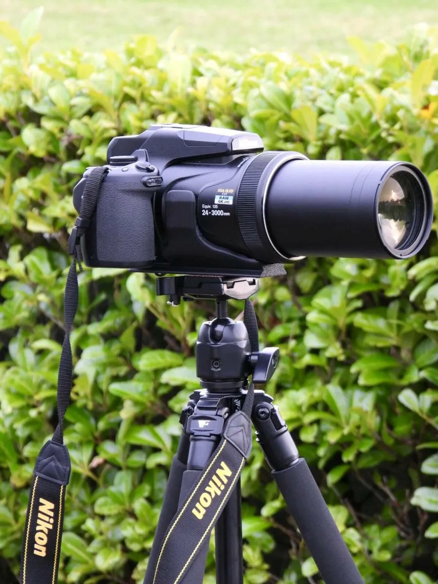 Nikon P1000 - Image 3