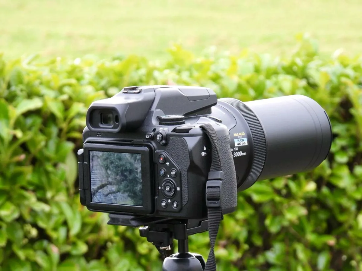 Nikon P1000 - Image 4