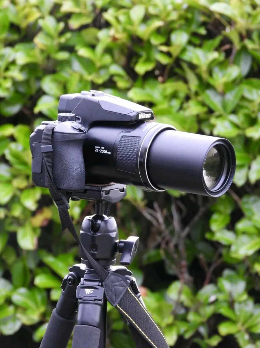 Nikon P950 - Image 1