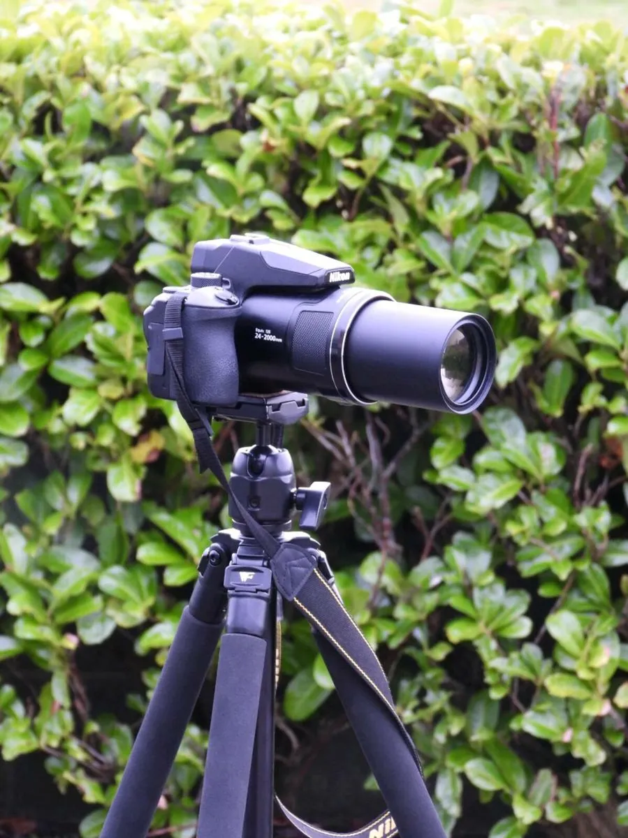 Nikon P950 - Image 2