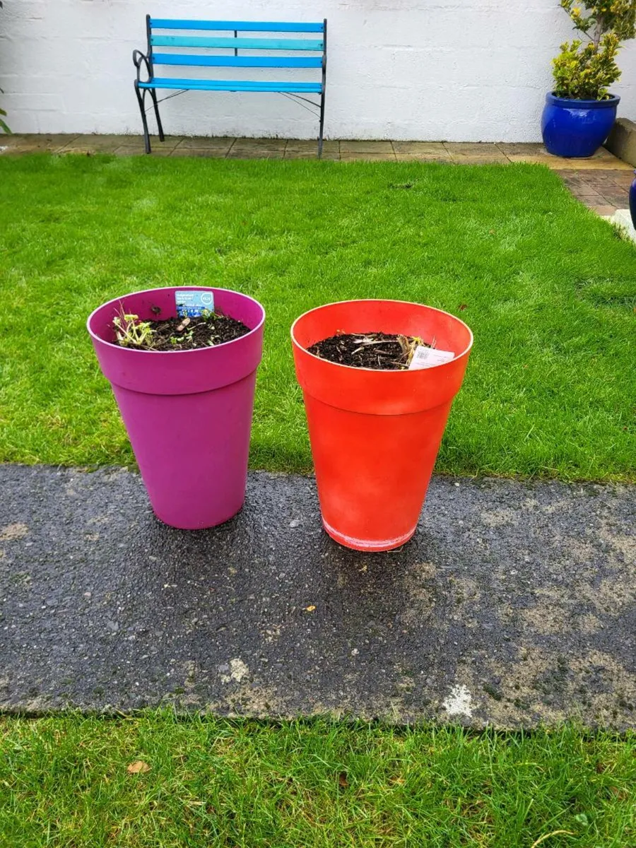 2 Flower pots (plastic) - Image 1