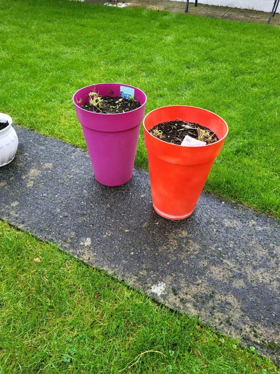 2 Flower pots (plastic) - Image 3