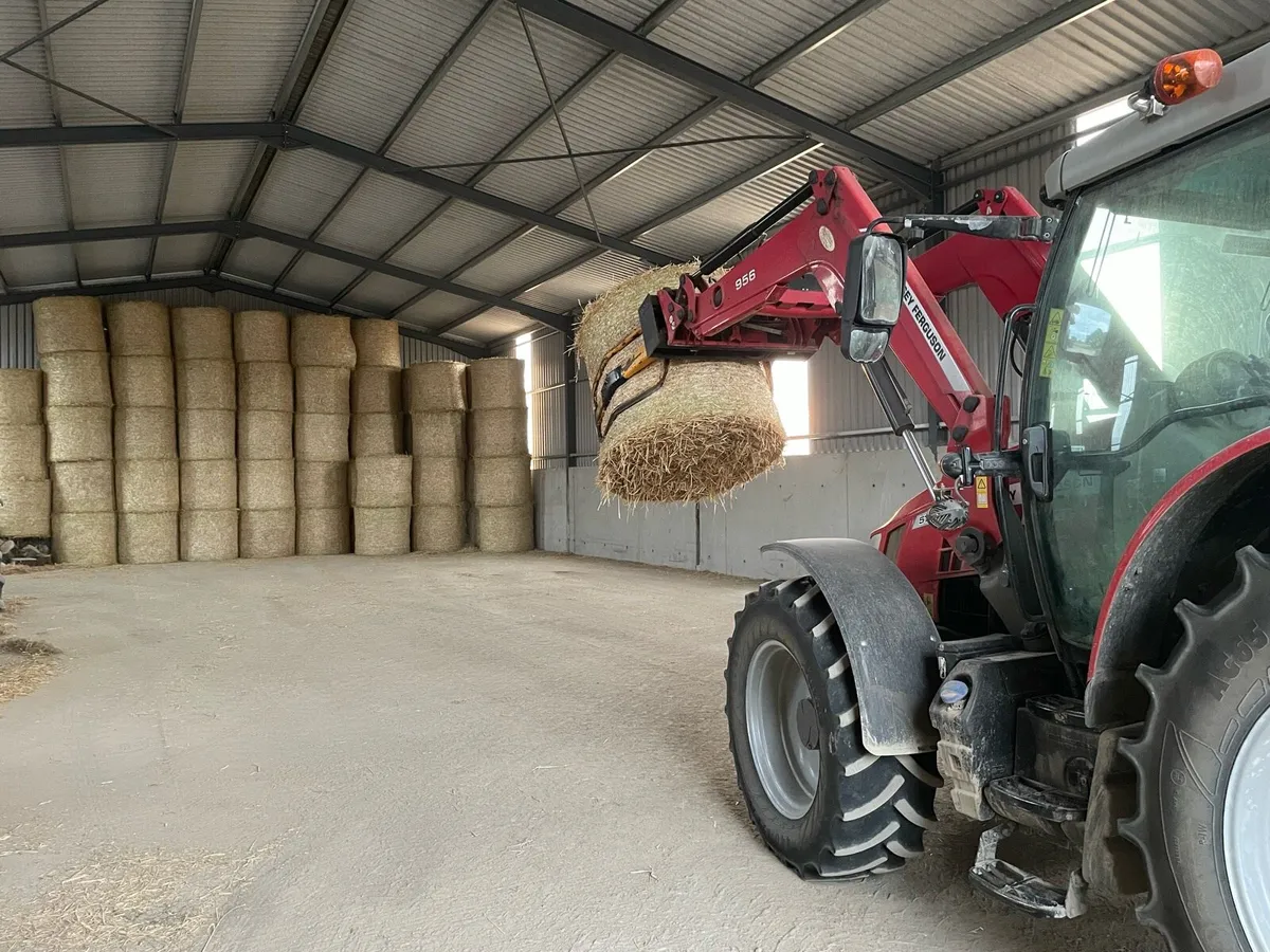 Hay and Straw - Image 4