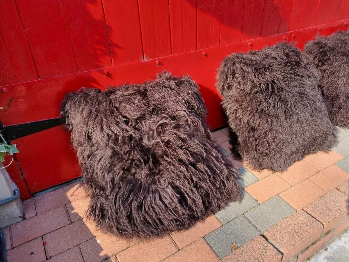 4 Large Mongolian Wool Cushions 20" x 20". - Image 4