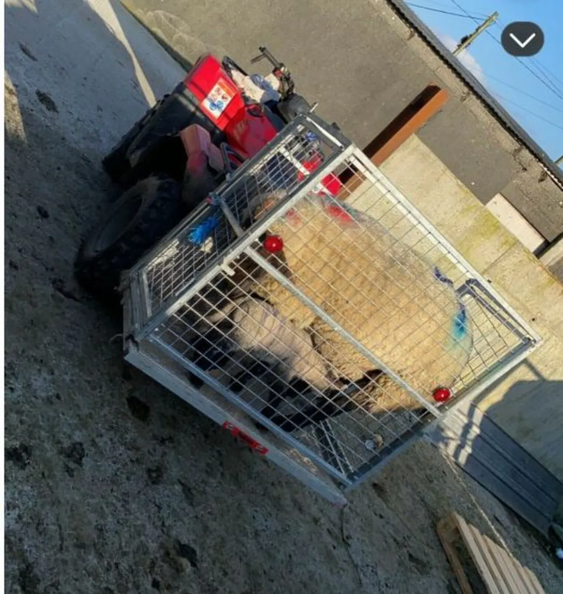 Quad Box + Toolbox - Image 2