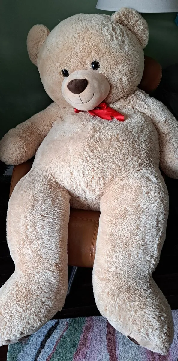 Giant Teddy - Image 1