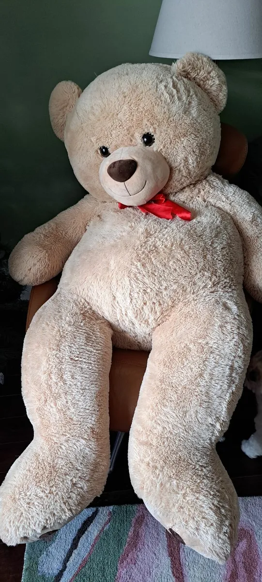 Giant Teddy - Image 2