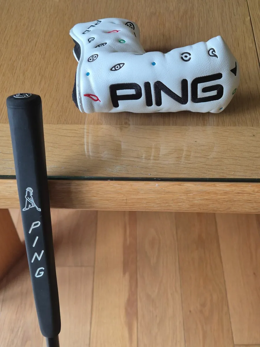 Premium Golf Putters - Image 3