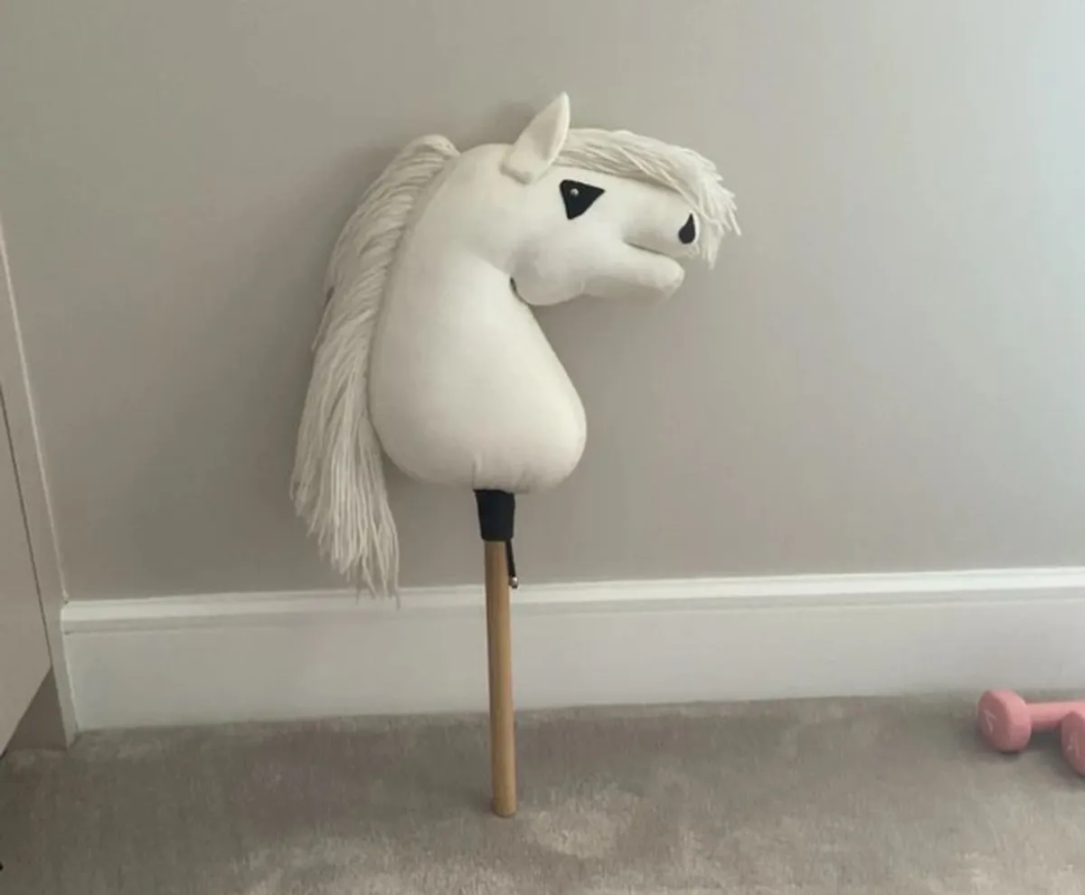 White A4 hobbyhorse - Image 1