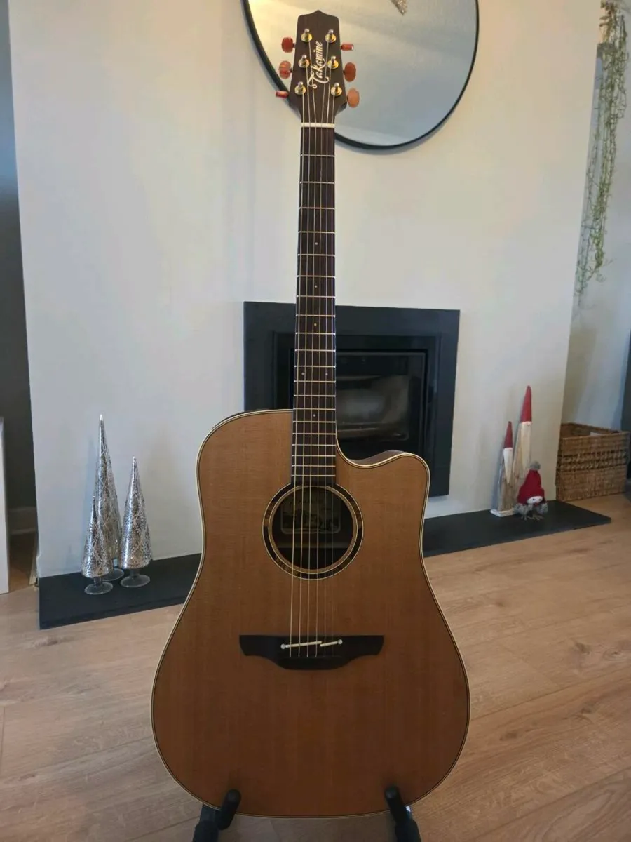 Takamine ETN10c - Image 1