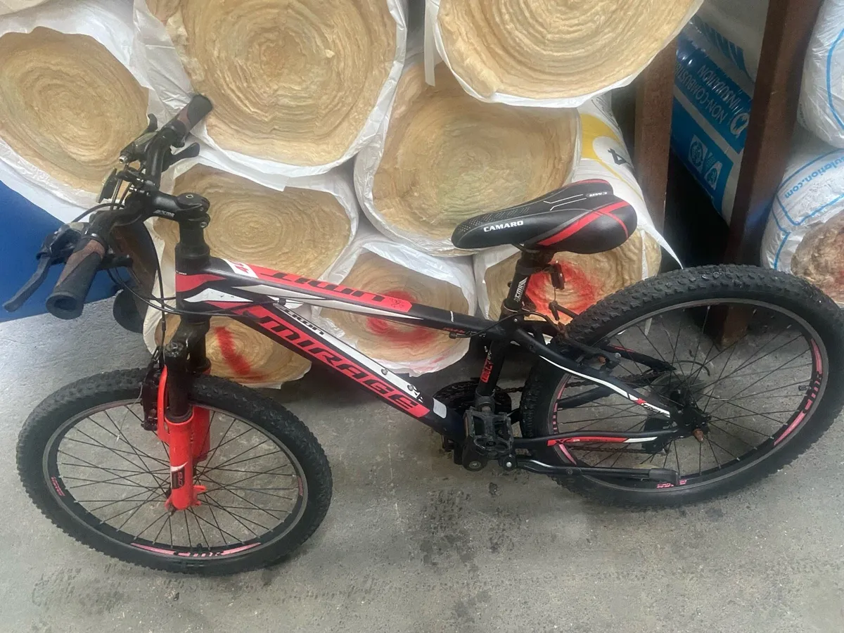 Mountain Bike - Image 1