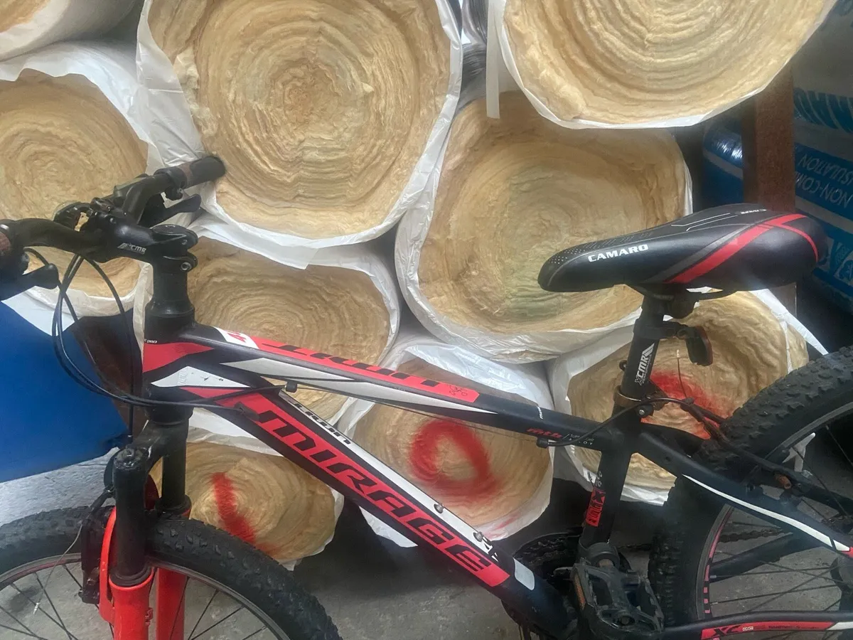 Mountain Bike - Image 3