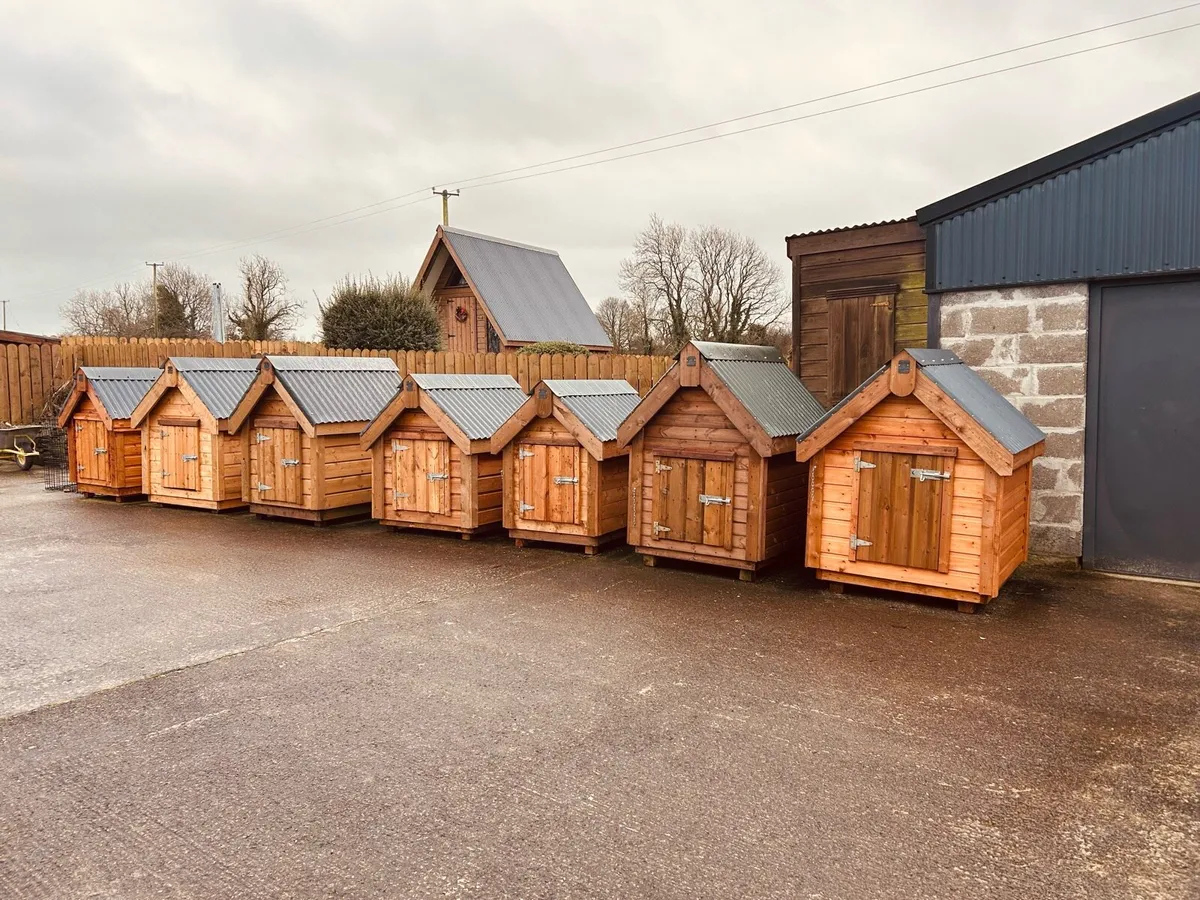 Dog Kennels - Image 1