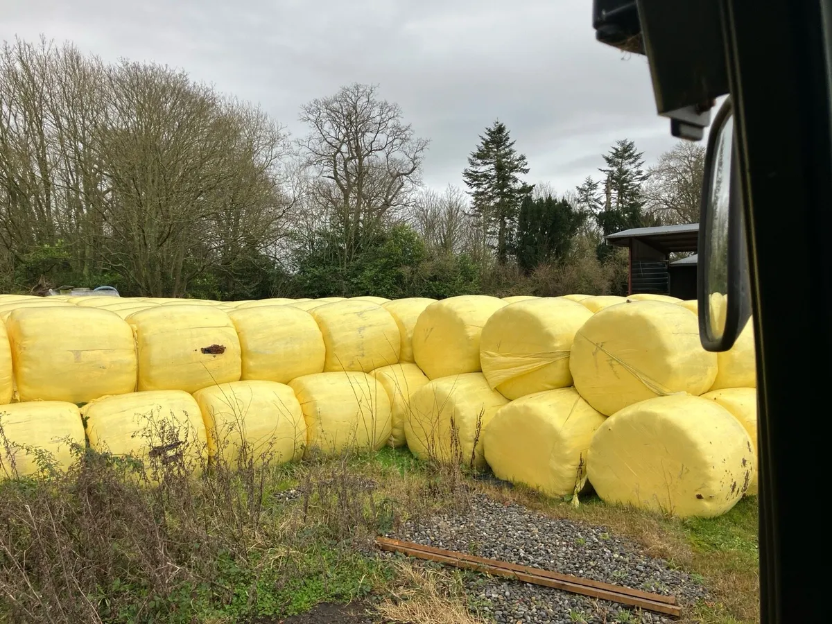 Bales of silage