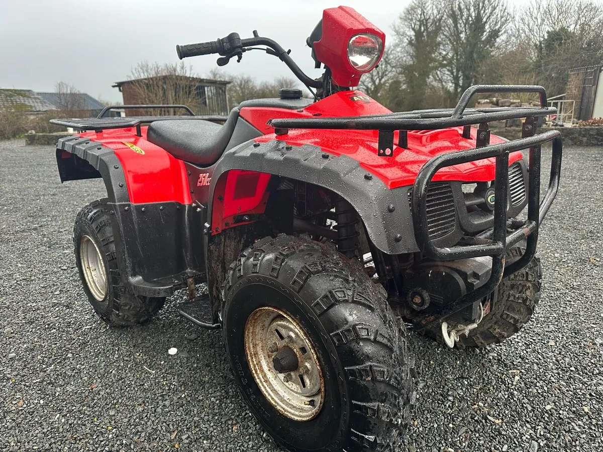 MadCat 250CC 4x2 Quad - Image 1