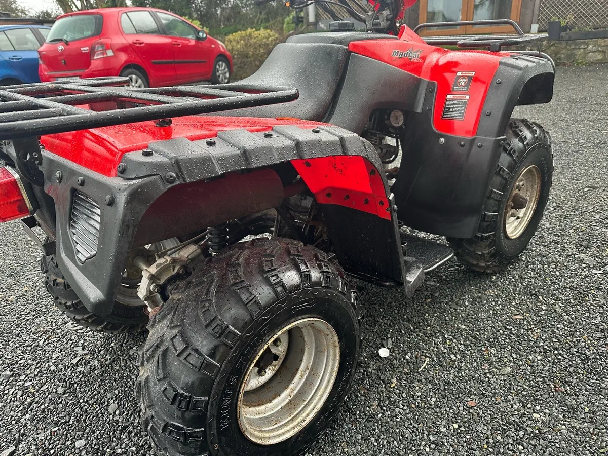 MadCat 250CC 4x2 Quad - Image 2