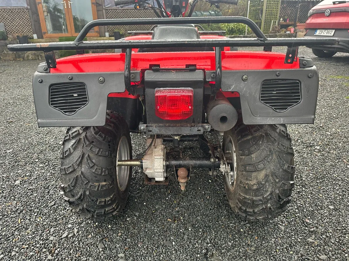 MadCat 250CC 4x2 Quad - Image 3