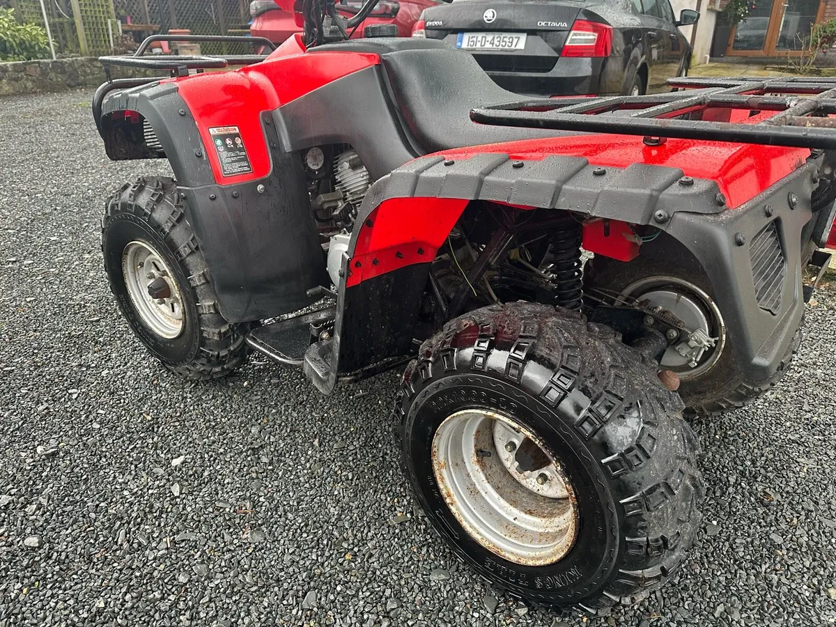 MadCat 250CC 4x2 Quad - Image 4