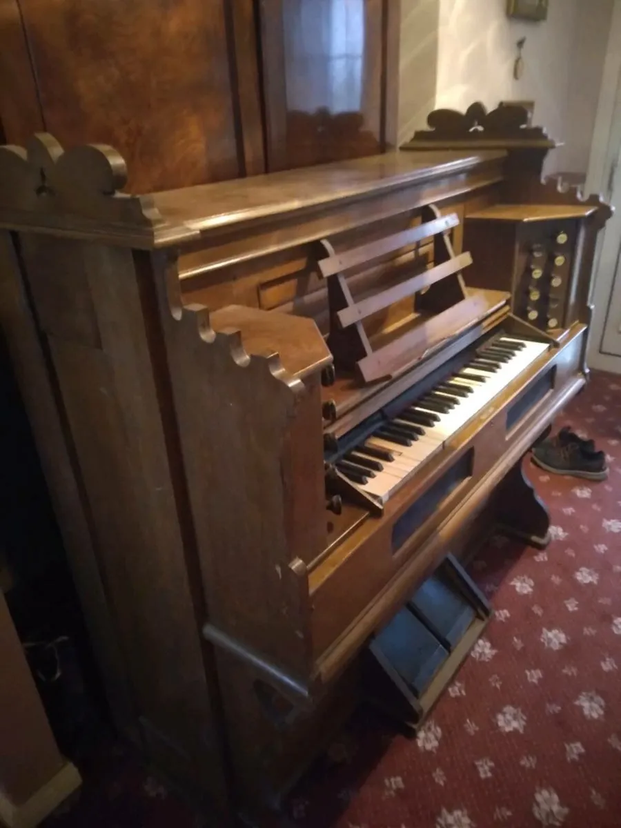 Reed Organ - Image 3