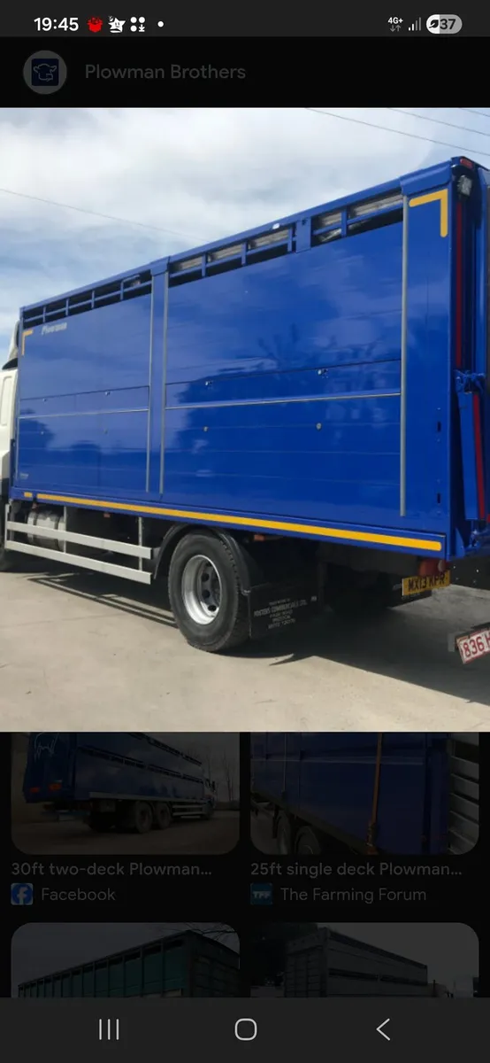 Cattle truck body wanted - Image 3