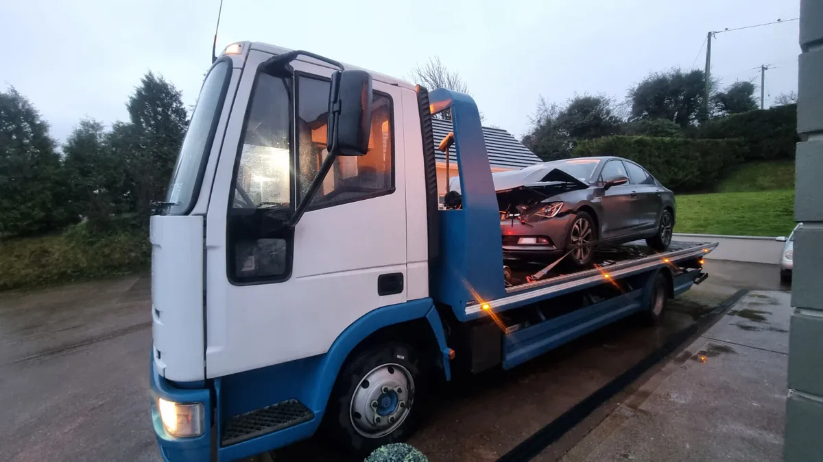 GRIMES 24 HOUR RECOVERY MALLOW 087 415 3789 - Image 2