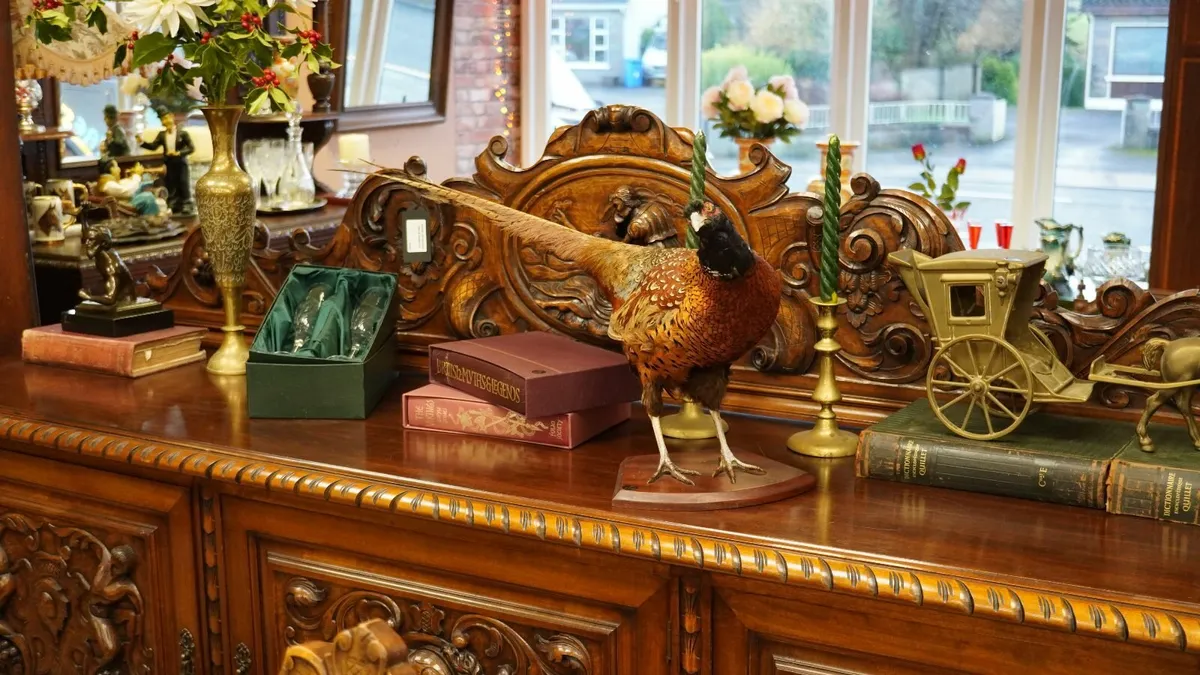 Vintage Taxidermy Pheasant Mount on Wooden Base - Image 1