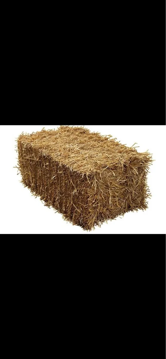 Square Barley Straw