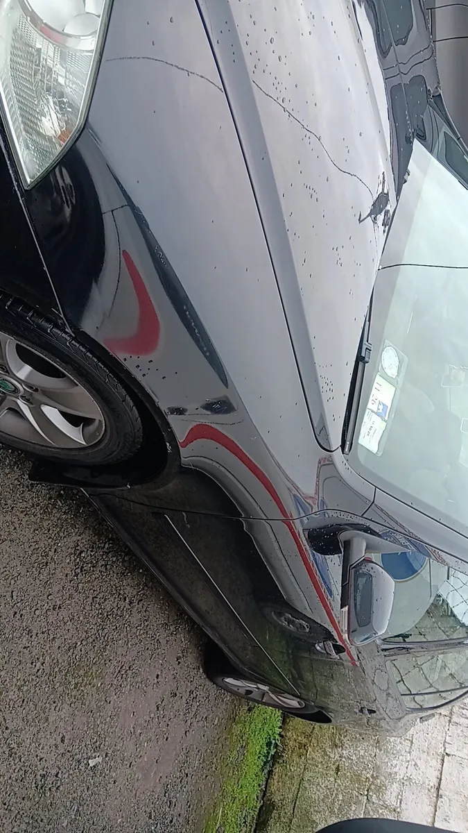 Skoda Octavia VRS - Image 3